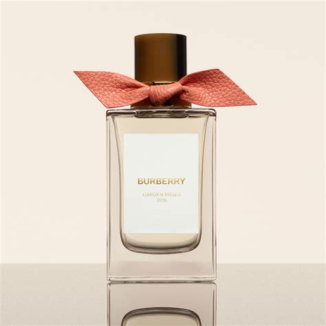 burberry tea rose|burberry signatures garden roses.